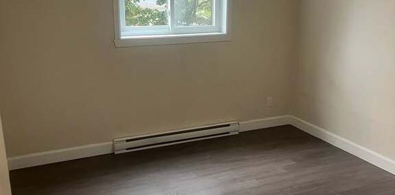 Magnifique 3½ - Photo 2