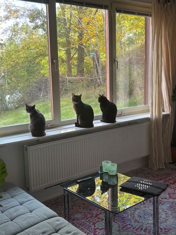 Gibraltargatan, Göteborg - Photo 2