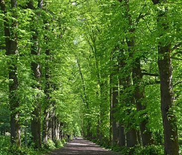 Te huur: Appartement Herenweg in Heemstede - Foto 3