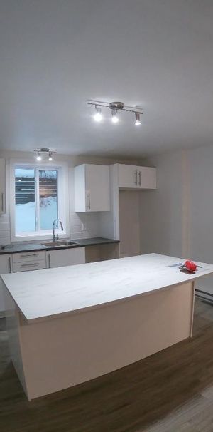 5 1/2 Quartier Montcalm - Photo 1