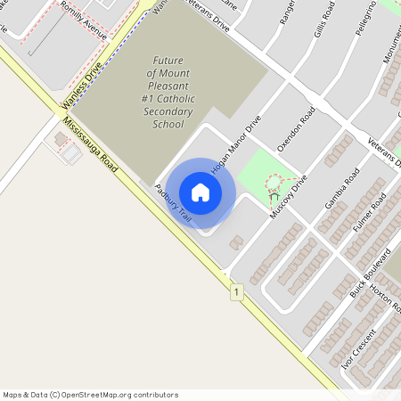 61 Hogan Manor Drive, Brampton