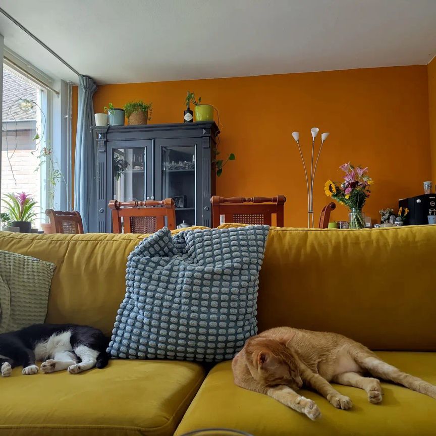 Chambre meublée Kruisstraat, Eindhoven - À louer - Foto 1