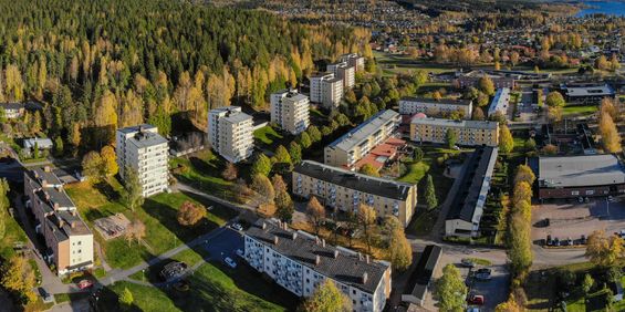 Krusbärsgården 2 - Photo 3