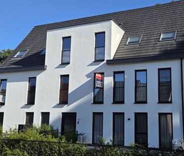 Appartement te huur in Bornem voor € 745 met 1 slaapkamer - Photo 5