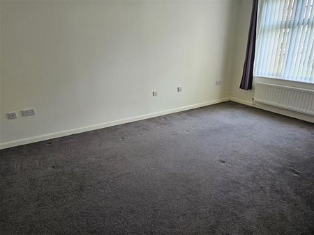 The Wickets - Photo 3