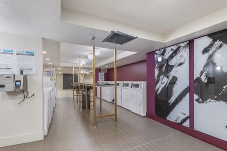 Appartement à louer - Montréal (Le Plateau-Mont-Royal) (Le Plateau-Mont-Royal) - Photo 3