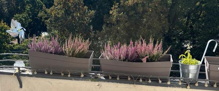 Untervermietung 3 Monate - Foto 1