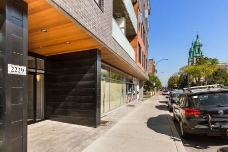 Condo for rent, Montréal (Ville-Marie) - Photo 5