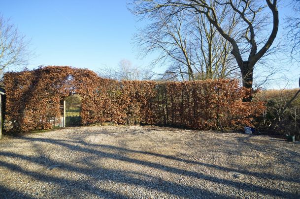 Thornage - Photo 1