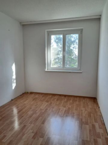 Sehr gut aufgeteilte 2-Zimmer-Miet Wohnung mit Ausblick - für Junge und Junggebliebene - Bad Vöslau - Grünruhelage Nähe Thermalbad - Photo 4