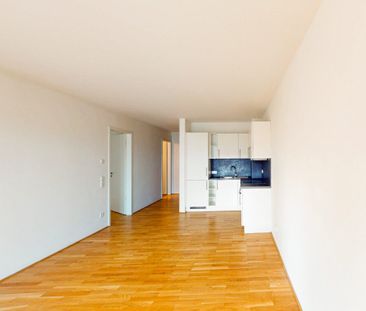 Gemütliche 2-Zimmer-Wohnung mit EBK und Duschbad - Photo 1