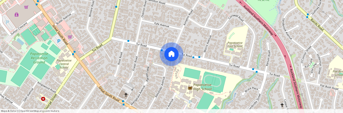 103 Tui Road, Papatoetoe, Manukau City