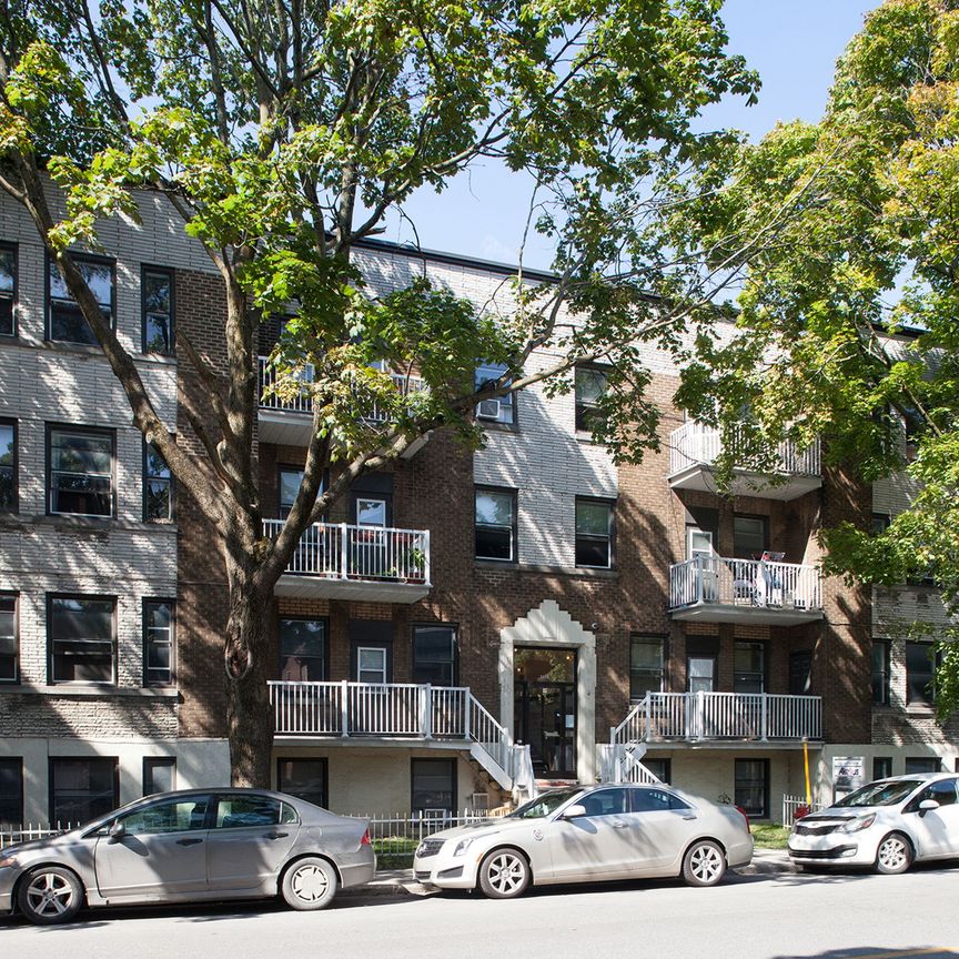 3495 Avenue Van Horne - Photo 1