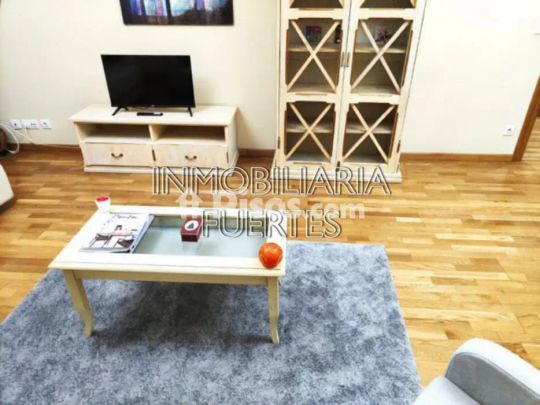 Apartamento en alquiler en Calle del Paso - Photo 1