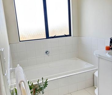 Boarder for a 5BR Karori Haven w/ Courtyard - Photo 6