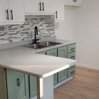 4 et demi (divisé presque comme un petit 5 et demi) droit aux chats, Farnham - Photo 1