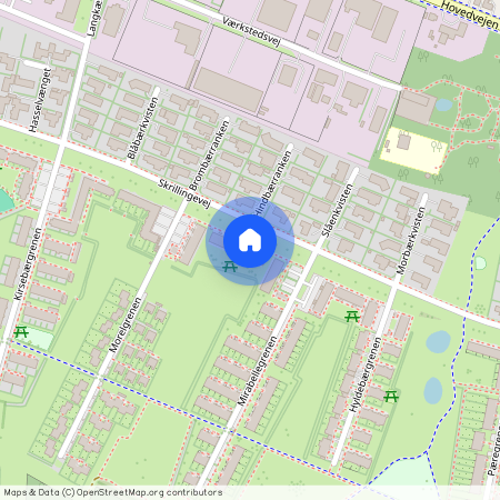 Mirabellegrenen, 10, 1. 4, Middelfart, 5500