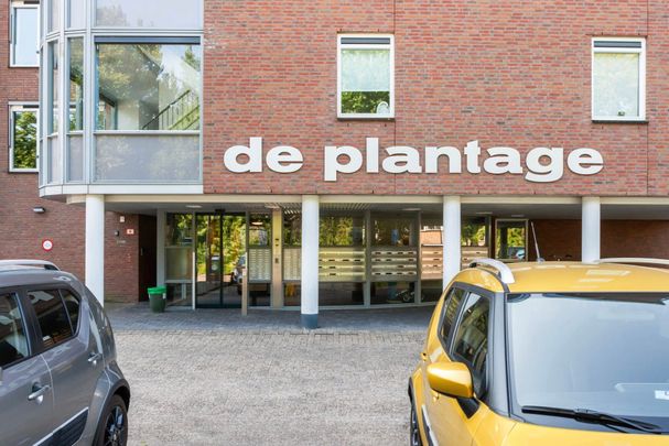 Te huur: Appartement Plantageweg 19 in Zwijndrecht - Photo 1