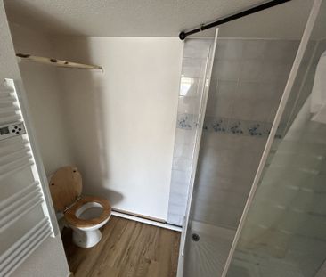 Studio - 29 chemin Meney 3 eme Droit appt J - Grenoble - Photo 5