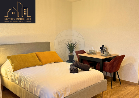 Location Appartement 1 pièce 25m² MARIGNIER 74970 - Photo 3