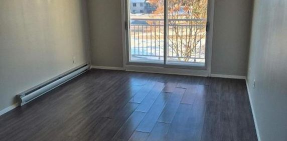 2 CH - 1 SDB - Sainte-Anne-des-Plaines - $1,185 /mo - Photo 2