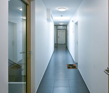 Moderne 2 Zi Wohnung mit Balkon - JETZT 1 Monat mietzinsfreie Zeit!... - Foto 4