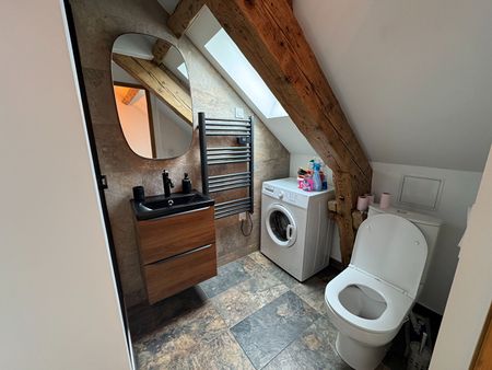 Location Appartement 1 pièce 11m² - Photo 3