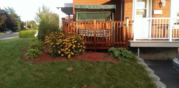 Grand 3.5 a louer A Granby 1er Juillet - Photo 2