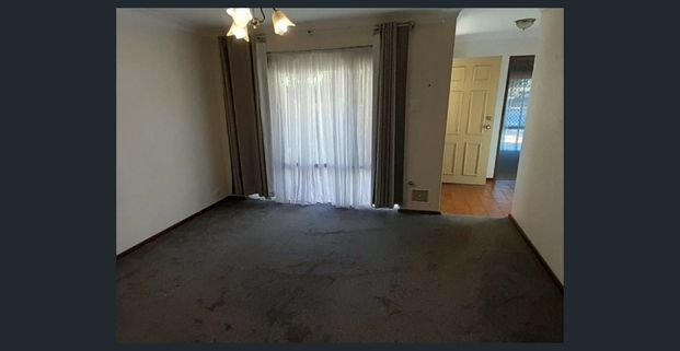 Neat & Tidy 3x1 - Photo 1