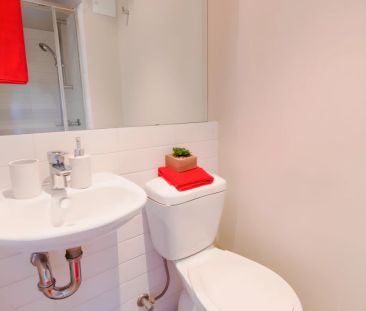 Standard Studio - Photo 5