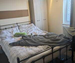 15, Earle Street - Photo 5