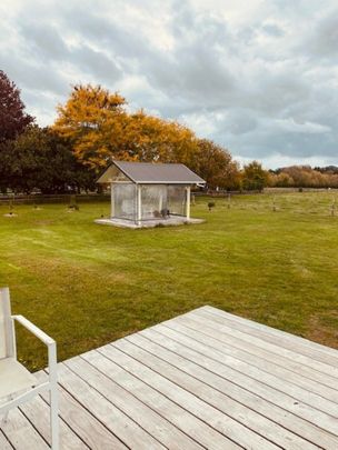 Peaceful Rural Outlook - Photo 1