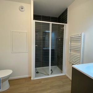 Location Appartement 1 pièce 19m² TOURS 37100 - Photo 2