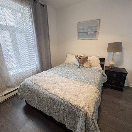 ✨ 3 1/2 meublé – St-Sauveur | Disponible 1er septembre ✨ - Photo 3