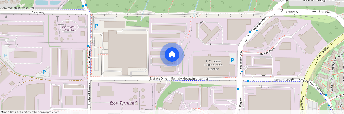 google map, Burnaby, Burnaby, Metro Vancouver, V5A 4W2