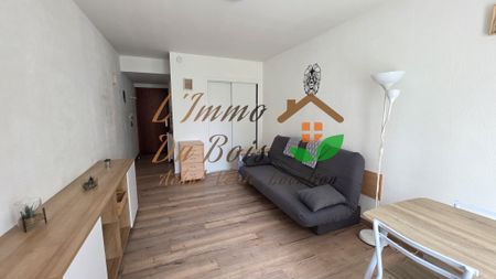Location Appartement 1 pièce 22m² LE PEAGE DE ROUSSILLON 38550 - Photo 4