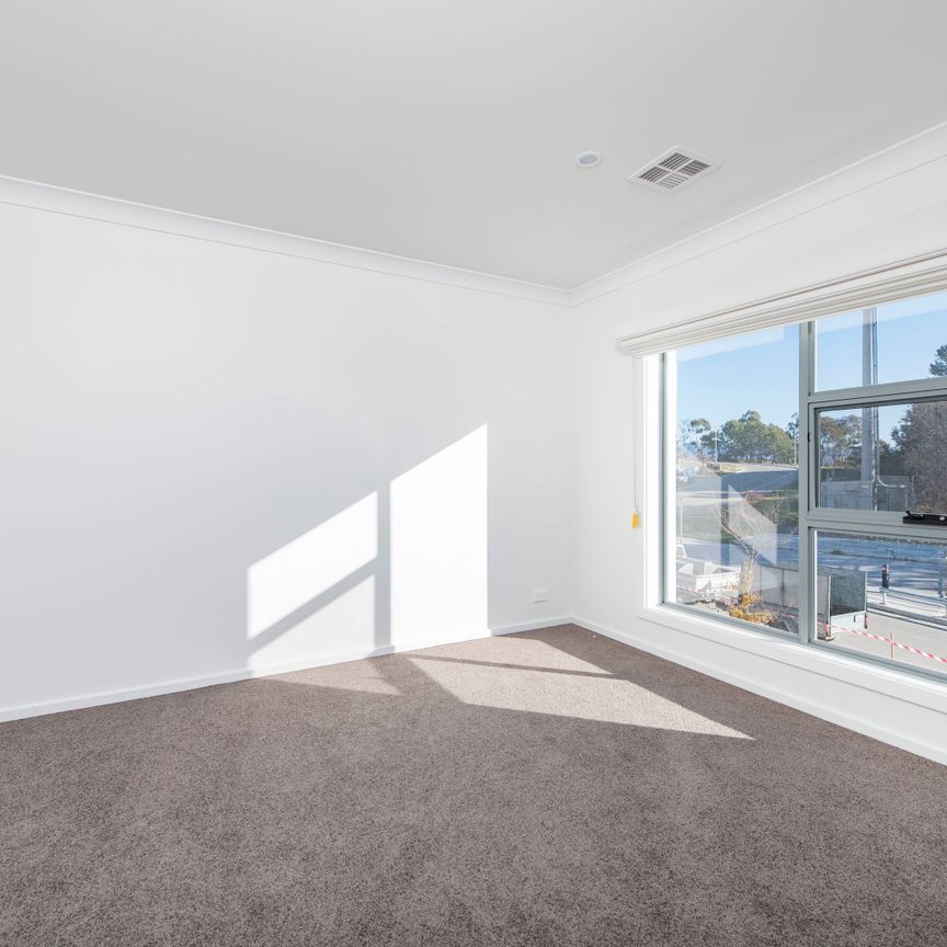 4 Isherwood Street, Weston ACT 2611 - Townhouse For Rent | Domain - Photo 1