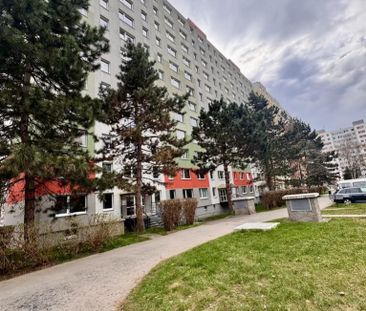 Pronájem bytu 1+kk a garsoniéry 30 m² - Photo 5