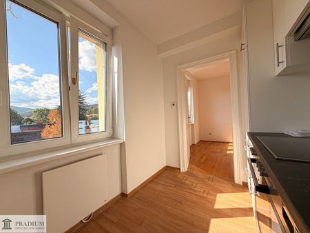 2-Zimmer-Altbauwohnung zwischen Grüner Markt und Kurpark - Photo 3