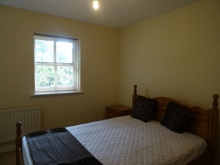 3 bedroom House to rent - Photo 5