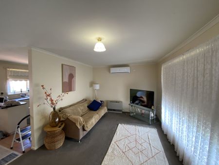 517 Havelock Street, Soldiers Hill - Photo 2