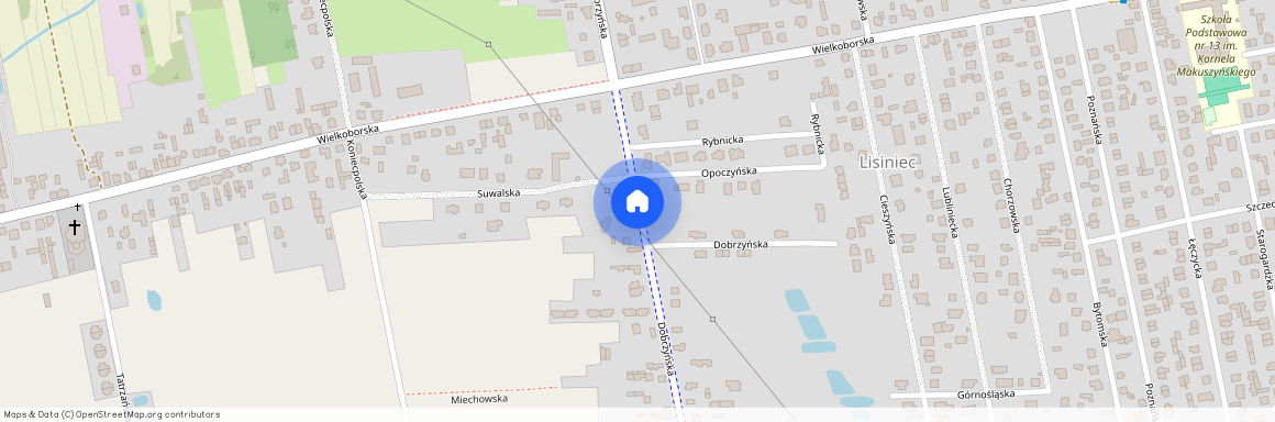 Lisiniec, Częstochowa, śląskie