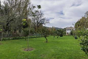 5 Bedroom House with swimming pool, Galamares, Sintra