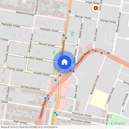 190 The Boulevarde Strathfield NSW, Inner West