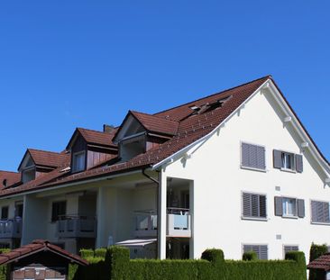 2.5 Zimmer, EG - Photo 3