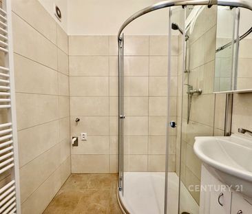Pronájem bytu 1+1 40 m², Viniční 2977, Brno - Photo 4