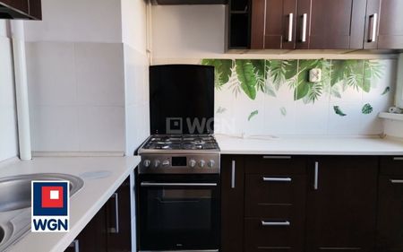 Mieszkanie na wynajem w bloku Polkowice - Фото 2