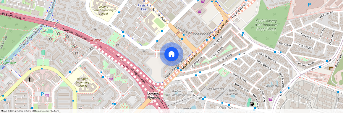 151 Pasir Ris Street 13 (510151), Singapore