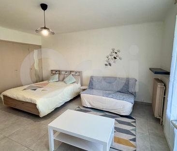 Location Appartement 1 pièce Meublé 41m² MONTPELLIER 34090 - Photo 2