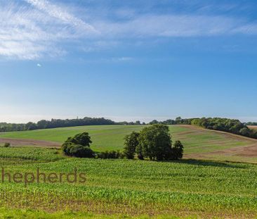 3 bedroom detached house to rent - Photo 6